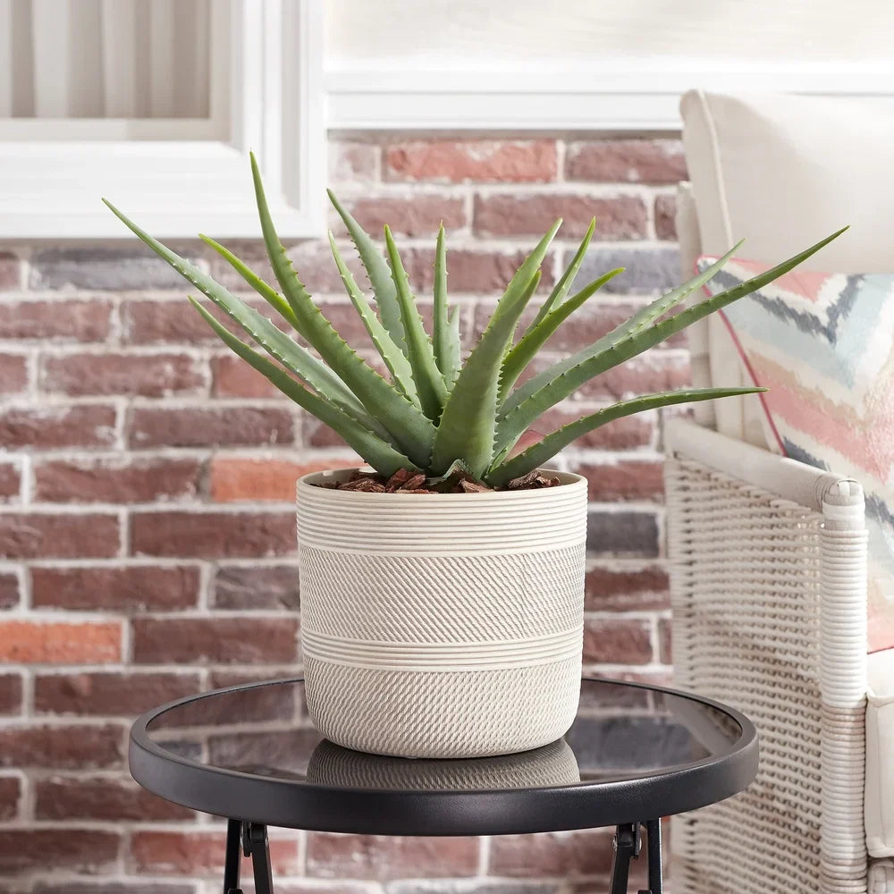 Chic Ceramic Plant Pot