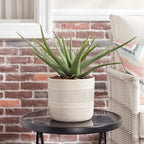 Chic Ceramic Plant Pot