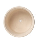 Chic Ceramic Plant Pot